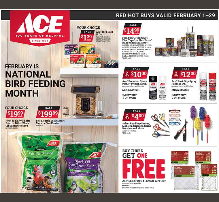 2024 January Red Hot Buys at High Country Lumber ACE Hardware.